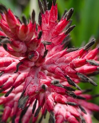 Czy wazelina i parafina to to samo? Czy wazelina i parafina to to samo?