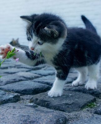 Co zrobić aby twarz była ładniejsza?